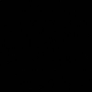 Meet your Posher, Katelynn